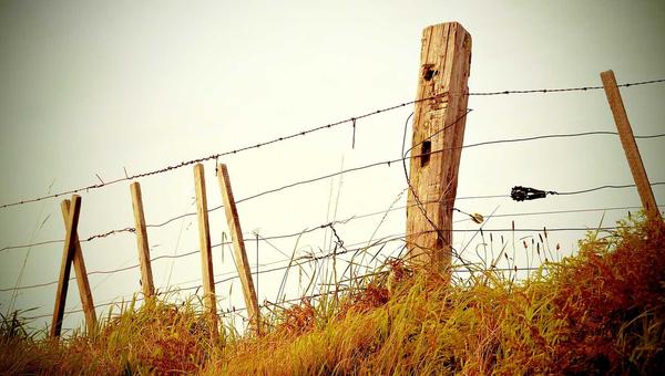 电竞新闻