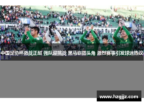 中国足协杯激战正酣 强队迎挑战 黑马崭露头角 激烈赛事引发球迷热议